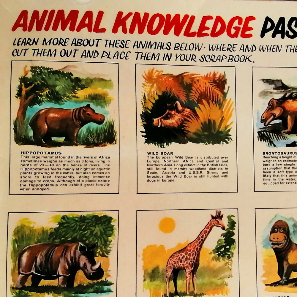 Complete 1960s Wade Animal Party Crackers with Original Porcelain Figurines